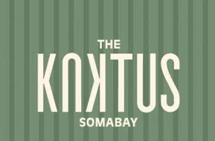 Kaktus